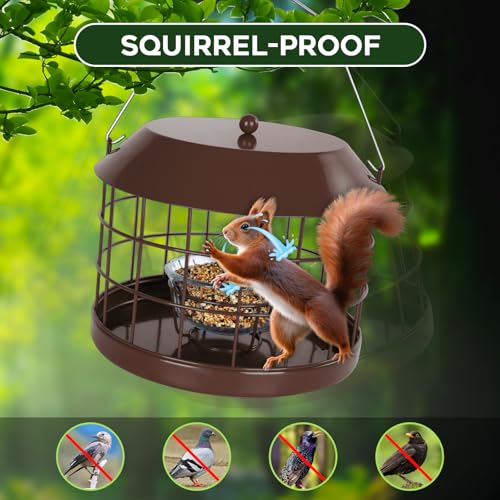 Gbekery Caged Bluebird Feeder for Mealworms with Glass Bowl, Squirrel Proof Bird Feeder for Small Birds Only, Detachable Hook, Large Space, Outdoors Weatherproof, Metal, Brown - style: Brown Glass Bowl
