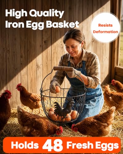2 Pcs Metal Wire Egg Basket, Round Iron Canasta para Huevos with Wooden Handle, Sturdy Small Egg Basket for Gathering Fresh Eggs, Storing Fruit, Vegetables. Ideal for Farmhouse Kitchen Storage