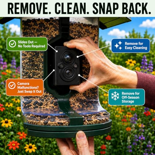 FeatherSnap Smart Bird Feeder with Camera – Solar Powered, AI Bird ID, 1080p HD Night Vision – Includes Mounting Pole – Bird Feeder with Pole