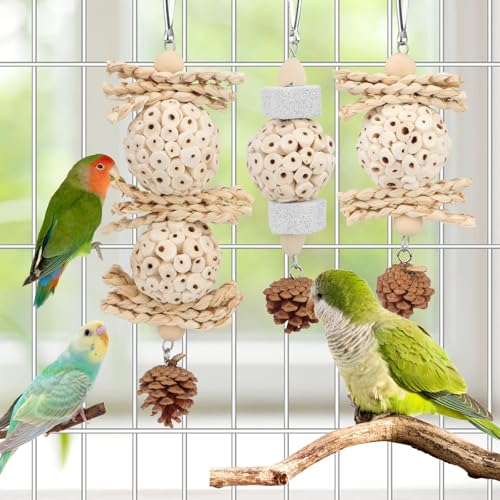 Wontee Bird Toys 3 Pack Parrot Foraging Hanging Toys Sola Ball Natural Nuts Chew Toys for Cockatiels Conures Parakeets Budgies Senegal (3 Pack) - size: 3 Pack