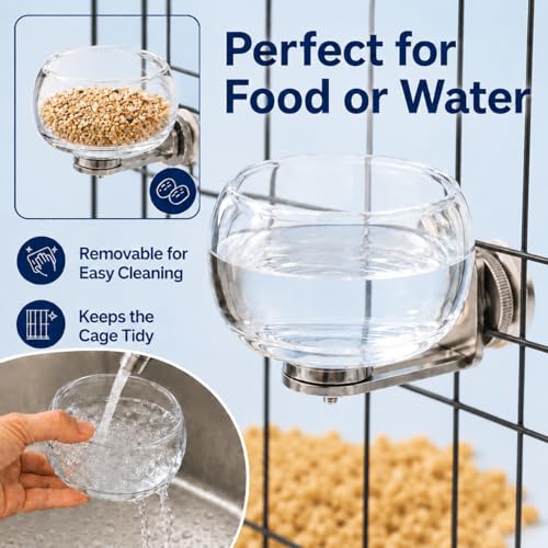 Magnetic Glass Bird Feeding Bowl for Cage, No Drill Removable Water and Food Cup for Parrots, Cockatiels, Conures, Budgies and Lovebirds, 100ml,4246-2 - color: Transparent