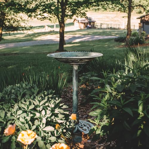 Backyard Expressions Outdoor Garden Bird Bath - Mint Green - Weather Resistant Polyresin - 27 Inch - color: Mint Green