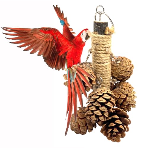 7.87Inch Natural Wooden Hangable Parrot Toy with 8Pcs Pine Cones and 8.46 Inch Wood Treat Holder with Stainless Steel Bowl for Cockatiel Budgie Small Birds