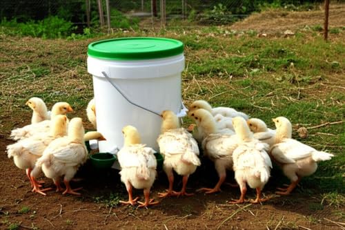 Farmight Automatic Poultry Waterer Kit – Leak-Free Large Self-Filling Cups with Drill Bit for Chickens, Ducks, Quail, Geese & Turkeys - 5 Pack