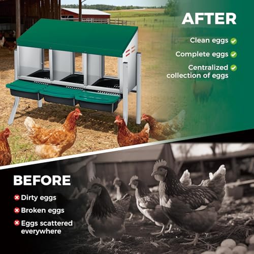 Garvee 3-Hole Rollaway Chicken Nesting Box for Hens –Chicken Nest Box with Removable Trays, Easy Egg Collection & Cleaning, Wall Mount or Freestanding, Sturdy Chicken Laying Boxes, Green - color: Green-3 grids with legs