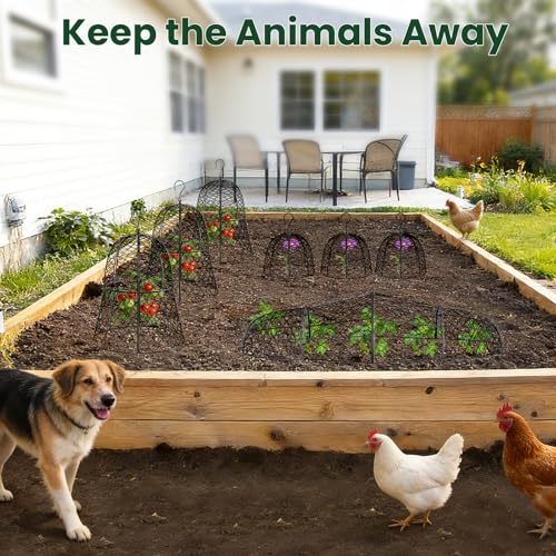 6 Pack Garden Cloche Plant Protectors from Animals, 13" x 11.8" Heavy Duty Chicken Wire Cloche, Adjustable Metal Wire Garden Cloches for Outdoor Plants, Keep Rabbits, Squirrels & Birds Away - size: 13" x 11.8"