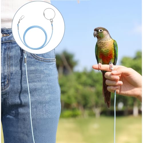 Bird Leash with 5 Different Size Foot Ring Parrot Flying Harness | Lightweight Elastic Bird Leashes Leg Band Outdoor Training Traction Rope for Macaw African Greys Parakeet Cockatoo Sun Conure