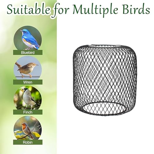 Bluebird House Protector Guards, Black Iron Mesh Protector | Bird House Entrance Hole Protector to Keep Predators Out, Lantern Shaped Smooth Edges