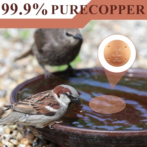 8 Pcs 4'' Copper Disc for Bird Bath,0.6mm | 0.8mm Thick, 99.99% Pure Metal for Birdbaths Purification, 4 Point Support Outdoor Bowls, Prevents Algae Buildup - style: Bird Pattern