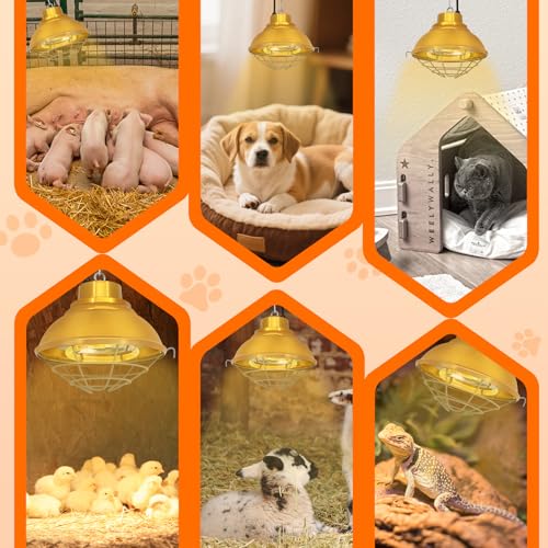 Chicken Coop Heater, 350W, Carbon Fiber Bulb, Adjustable 2-Mode | Heat Lamp for Chickens Brooder, Adjustable Hanging Height, For Chick, Puppy, Cat, Goat, Piglet