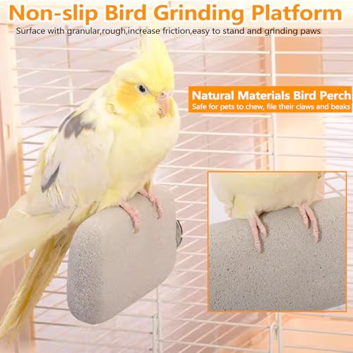 4PCS Bird Beak Grinding Stone,Parrot Perch Stands,Parakeets Platform Chewing Toys Calcium Pumice Lava Foot Claws Trimmer Climbing Ledge for Cockatiel Budgie Conures Lovebirds(Multi-Color) - color: 4Pack Colorful | S & L