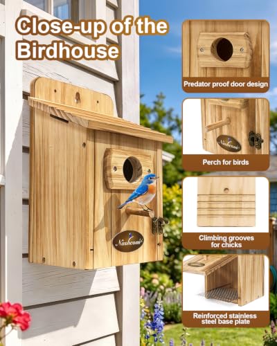 2-Pack Outdoor Birdhouse Made of Pine Wood, 1-1/2-inch Entry Hole, Suitable for Bluebirds, Chickadees, Goldfinches, Warblers, and Titmice—Assembly Required - color: Natural wood color
