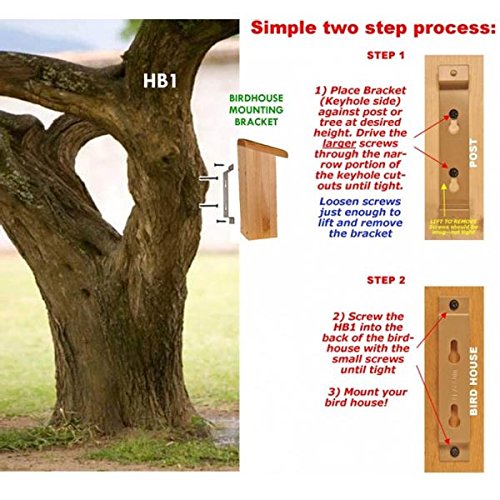 Erva Bird House Mounting Brackets with Keyhole Openings, Pack of 4