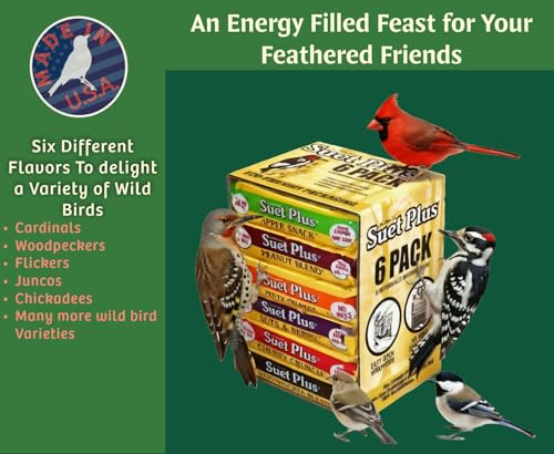 Wildlife Sciences Suet Plus 6 Pack Variety Feeder