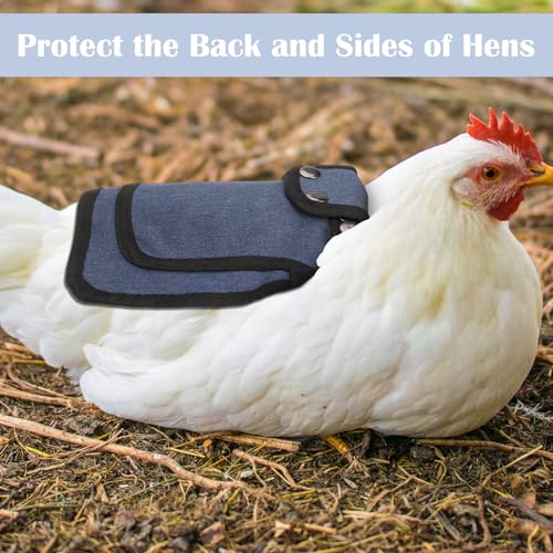 3Pcs Chicken Saddle for Hen, Chicken Saddles with Adjustable Strap | Chicken Aprons for Hens, Chicken Saddles Protector, Feather Protector for Back and Sides Poultry Accessories for Hens