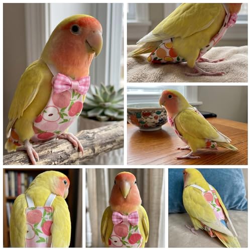 4 Pcs Bird Diaper Reusable Cute Parrot Diapers with Waterproof Inner for Cockatiel Budgie Canary Pet Bird