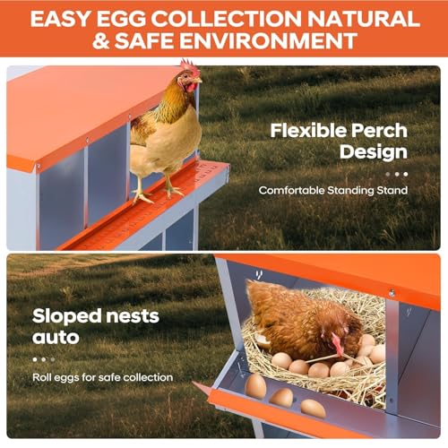 Garvee Chicken Nesting Box, 8 Compartments Nesting Box for Chickens, Galvanized Steel Chicken Laying Box for Easy Egg Collection, Wall Mounting - color: Orange | 8 Compartments+legs