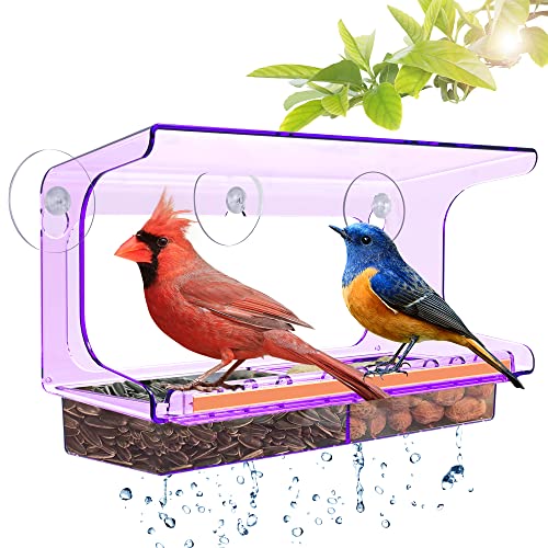 LUJII Purple Window Bird Feeder with 5 Super Strong Suction Cups, All One Piece Construction, Removable Seed Tray, Accommodates Large Birds Like Cardinals or Blue Jay for Outside Wild Bird Feeding - color: Purple, size: M