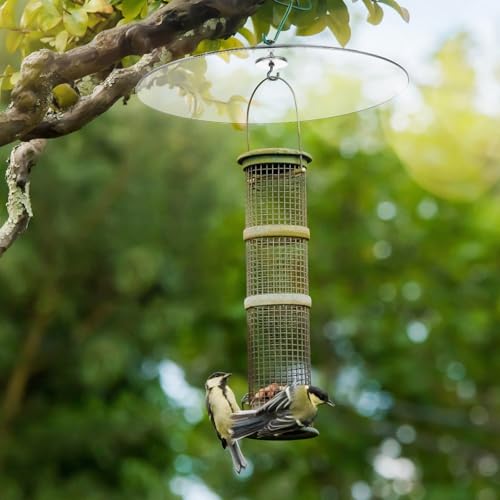 GANAZONO Plastic Bird Feeder Rain Cover Squirrel Baffle for Bird Houses or Hanging Humming Feeder Station Pole | Squirrel Baffle for Bird Houses or Hanging Humming Feeder Station Pole