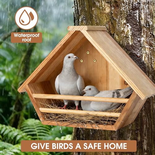 Cedar Mourning Dove Nesting Box, Oltara Wooden Dove Pigeon Bird House for Outdoors