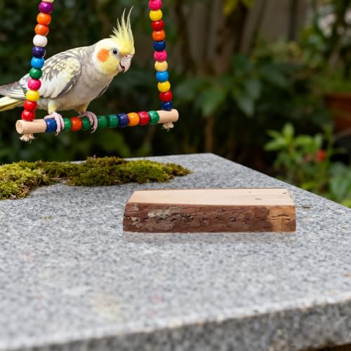 Angoily Bird Perch Stand Set, 5Pcs Natural Wood Bird Perches with Rope | Cage Perch Branch Stand for Climbing Standing Play and Nail Grinding for Parrots