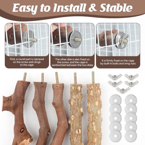 5PCS Bird Perch Stand Natural Wooden Parrot Stand Branch,3 Grape Wood Perch,2 Stand,Paw Grinding Fork Parakeet Chewing Stick Exercise Training Branches for Cockatiels,Small Medium Birds