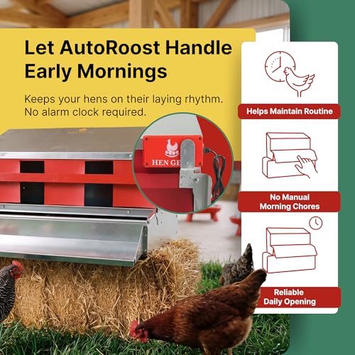 HenGear AutoRoost, Automatic Chicken Coop Door, Auto Chicken Opener, Timer | Electric Automatic Coop Opener Runs on a Timer to Lift the Nest Box Roost Bar Each Morning for Reliable Hen Access