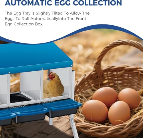  Chicken Nesting Box with Cleanable Pull Out Trays, 3 Hole Roll Away Nesting Box for Laying Hens, Wall Mount or Placed Design for Easy Egg Collection ﻿ - color: Blue, size: 3 Holes with legs