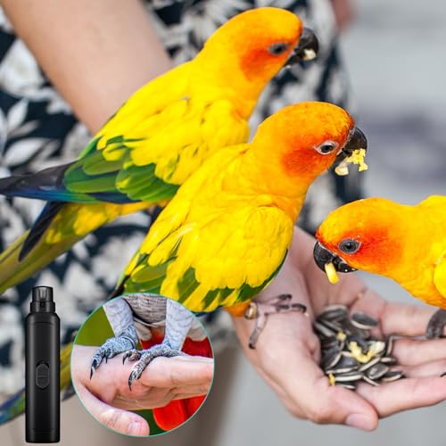 Lasnten 2 Pcs Bird Nail Grinder with Clipper Bird Nail Trimmer File Pet Grooming Tool for Parrot Budgerigars Parakeets Myna Conure Finches Lovebirds(Black) - color: Black