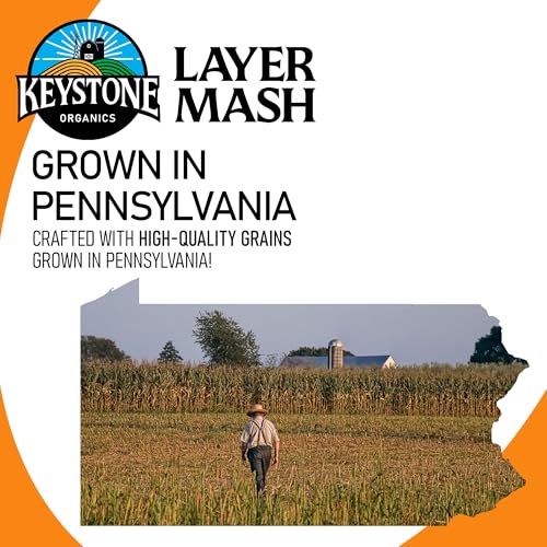 Layer Mash Chicken Feed, 44lb | Non-GMO, High Calcium for Strong Eggshells, For Chickens, Ducks, Geese, Pheasants & Guineas, No Artificial Hormones