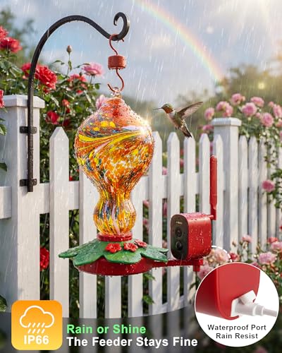 Hummingbird Feeder with Camera – 2.5K 5MP Solar-Powered Glass Bottle Smart Humming Bird Feeder with AI Recognition, Upgraded Leak-Proof & Ant Moat, Instant Alerts, Works with Alexa & Google Assistant