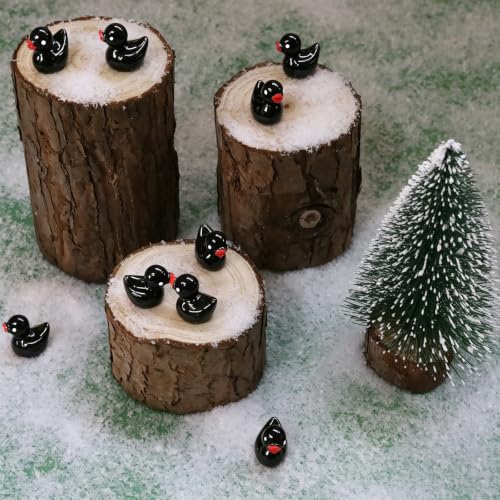 100 Pcs Mini Resin Ducks Tiny Ducks Miniature Duckies Bulk Figures for Garden Micro Landscape Home Prank Game Micro Landscape Aquarium Dollhouse Ornament DIY Handmade School (Black) - color: Black