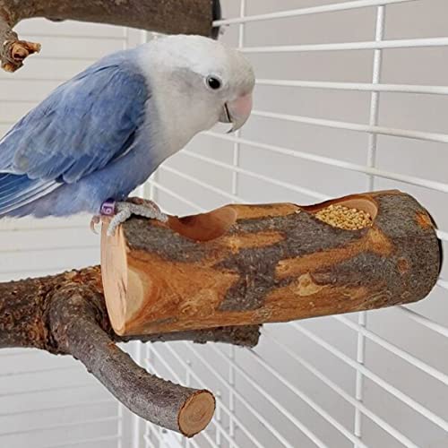 Apple Wood Feeding Bowl for Small Animals, Food Dish for Guinea Pig, Chinchilla Parrots - color: Double Groove Bowl