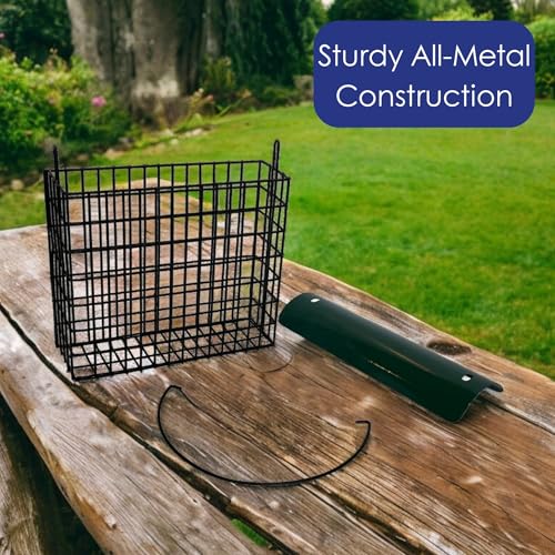 Large Suet Feeder - Metal Woodpecker Suet Cage w/Roof | Holds 1 Large Seed Cake. Metal Roof Keeps Suet Dry. Multiple Clinger Birds Feed at Once - Woodpeckers, Finches, Chickadees.