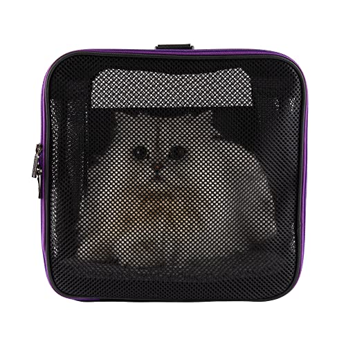 Soft Pet Carrier for Large and Medium Cats, 2 Kitties, Small Dogs. Easy to Get Cat in, Great for Cats that Don't Like Carriers (Black) - color: Black