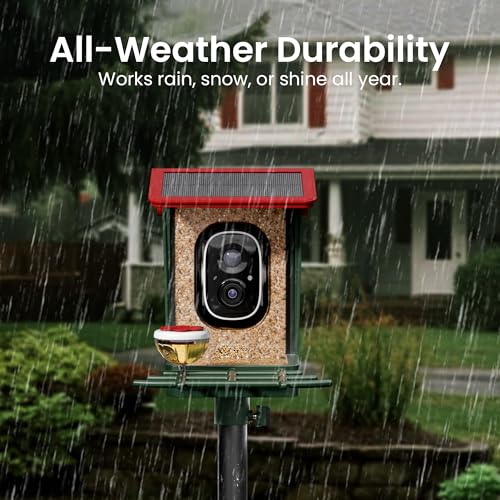 Smart Bird Feeder with Camera Solar Powered, 2K HD Video, AI Bird Species Identification, Instant Arrival Alerts, Weatherproof Design for Effortless Birdwatching, Best Gift for BirdLovers, Red - color: Green-Red