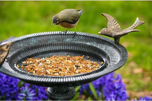 Evergreen Garden Hummingbird Bird Baths for Outdoors Heavy Duty | Metal Bird Bath Bowl with Stand | Ground Standing Bird Bath and Feeder for Garden Yard Deck - size: 20"H Brass Bird