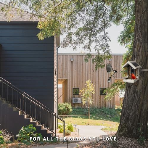 Birds Choice Smart Bird Feeder with Camera | Solar Powered Bird Watching for Outdoors | AI to Identify Bird Species, Capable of Real-Time Streaming | Wireless with Camera, Waterproof Construction | AI Species Recognition Motion-Activated Ultra HD Video an