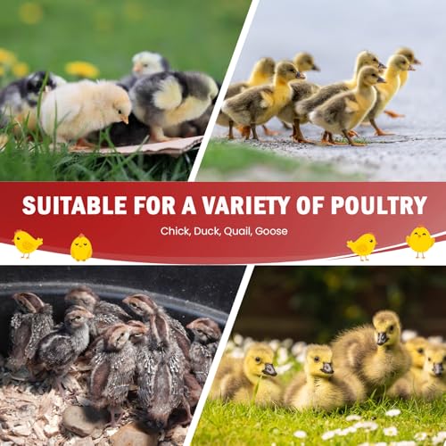 Tetuga Brooder Box for Chick Starter Kit with 10x 12” Brooder Heating Plate | Chicken Brooder Pen All-In-1 Bundles with Chicken Feeder, Waterer, Up to 15 Chicks, Ducks & Quail, Indoor & Outdoor Use, Red - color: Chicken Brooder Tent Bundles,Red