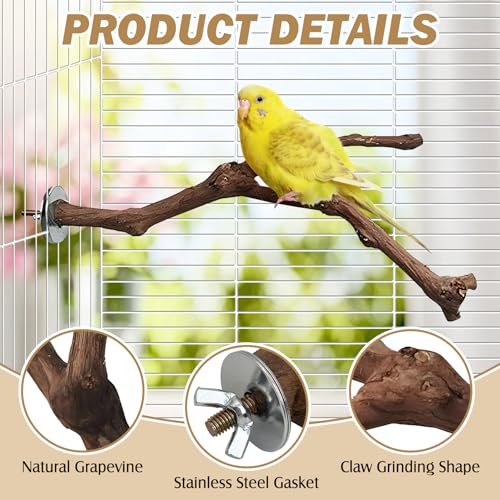 PINVNBY Natural Parrot Perch Grape Wood Bird Stand Pole Parakeet Paw Grinding Fork Chewable Climbing Branches Toy Bird Cage Accessories for Budgies Conures Cockatiels Lovebirds (2 PCS, 7.9IN) - size: 7.9in
