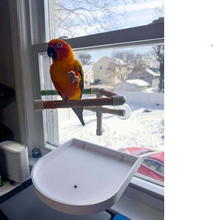 CleanPerch™ Bird Food Waste Catcher Tray with Suction Cups. Half Stadium Shape That attaches to Windows. Reduces Scatter, Easy-Clean, and Low-Profile (White, 12" x 11.5" x 3.7) - color: White, size: 12" x 11.5" x 3.7"