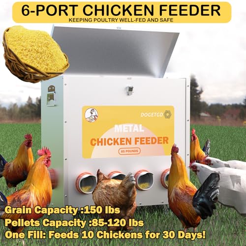 Automatic Chicken Feeder No Waste Metal Poultry Feeder Large Capacity 85 lbs for Chickens, Geese, Ducks, Turkeys, Quails (6-Port) - size: 6-Port