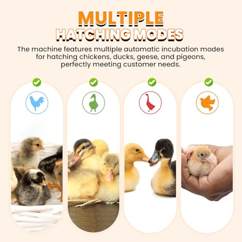 Cabinet Incubators for Hatching Eggs, 24 Egg Incubator | Automatic Turning, Temperature & Humidity Control, Temp Display, for Chicken Duck Quail Goose Pigeon
