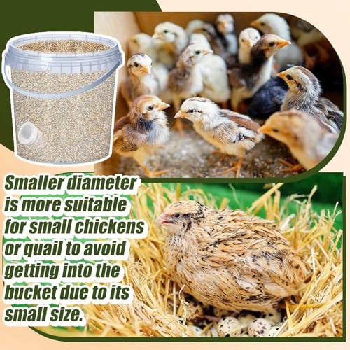 Teenyyou 20 Pack Quail Feeders No Waste Chicken Feeder Port DIY Chick Feed Saver Quail Supplies for Coturnix Small Poultry Farm Bucket Bin Container (1 Inch,White) - color: White, size: 1 Inch