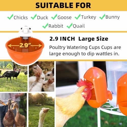 Large Automatic Chicken Water Cups w/Anti-Dirt Cover for Poultry -5 Pack | Large cups; w/ Anti-Dirt Cover