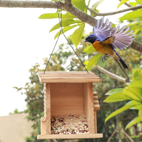 Bird Feeder for Outdoor,Outside Hanging Bird Feeder Mealworms Feeder Squirrel Proof, Bluebird House Feeder with Clear Acrylic Window - Perfect Bird Feeders for Outside