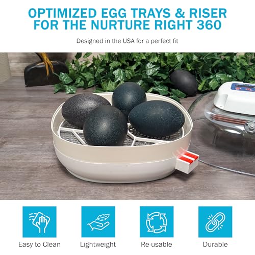 Egg Trays for Nurture Right 360 Egg Incubator (Various Sizes) (Extra Large w/Riser (Emu)) - size: 13.0"L x 13.0"W x 1.7"H