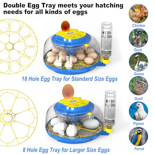 Cieex 18 Egg Incubator for Hatching Chicken, Quails, Ducks, Parrots, Geese with Automatic Egg Turning and Humidity Control, Blue & White ABS Terrarium Incubator