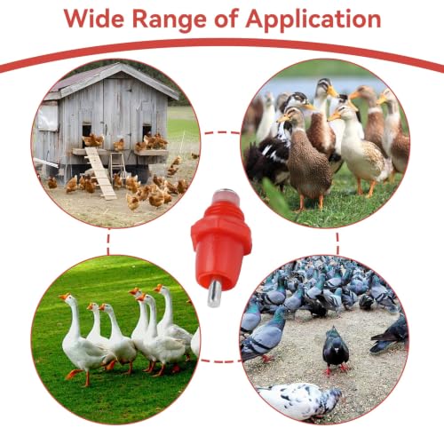 100Pcs Chicken Nipples, Water Nipples for Chicken Watering Poultry Nipples Automatic Chicken Water Nipple Drinker Feeders Poultry Waterer