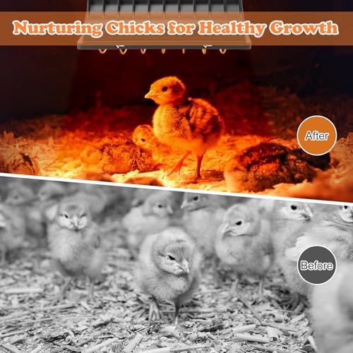 Chicken Coop Heater, Heat Lamp for Chickens, Chicken Coop Heating Lamp Brooder with Two 250W Lamps for Poultry, Livestock & Small Pets